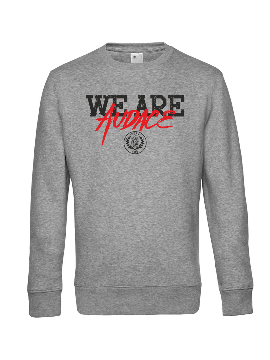 Felpa girocollo supporter - AUDACE C5